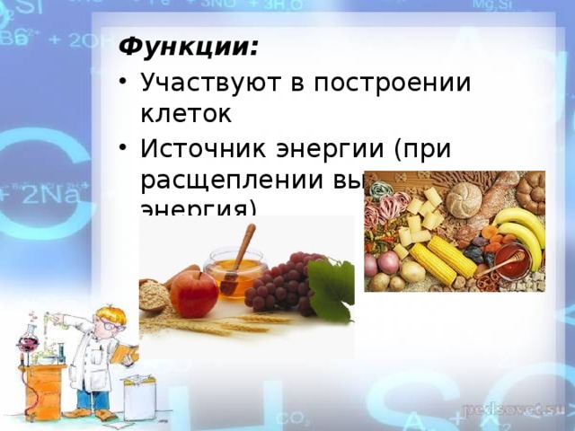 Функции: Участвуют в построении клеток Источник энергии (при расщеплении выделяется энергия) 