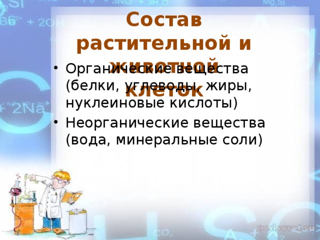 Состав растительной и животной клеток Органические вещества (белки, углеводы, жиры, нуклеиновые кислоты) Неорганические вещества (вода, минеральные соли) 