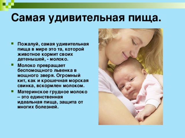 Самая удивительная пища.   Пожалуй, самая удивительная пища в мире это та, которой животное кормит своих детенышей, - молоко. Молоко превращает беспомощного львенка в мощного зверя. Огромный кит, как и крошечная морская свинка, вскормлен молоком. Материнское грудное молоко – это единственная идеальная пища, защита от многих болезней. 