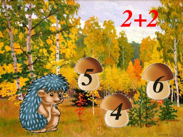6   2+2 5  4
