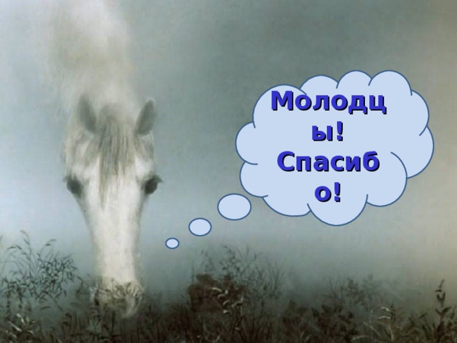 Молодцы! Спасибо!