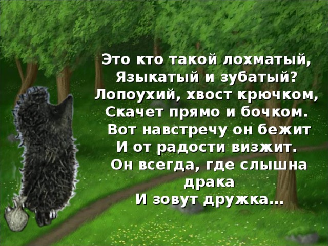 Это кто такой лохматый,   Языкатый и зубатый?   Лопоухий, хвост крючком,   Скачет прямо и бочком.   Вот навстречу он бежит  И от радости визжит.   Он всегда, где слышна драка  И зовут дружка…