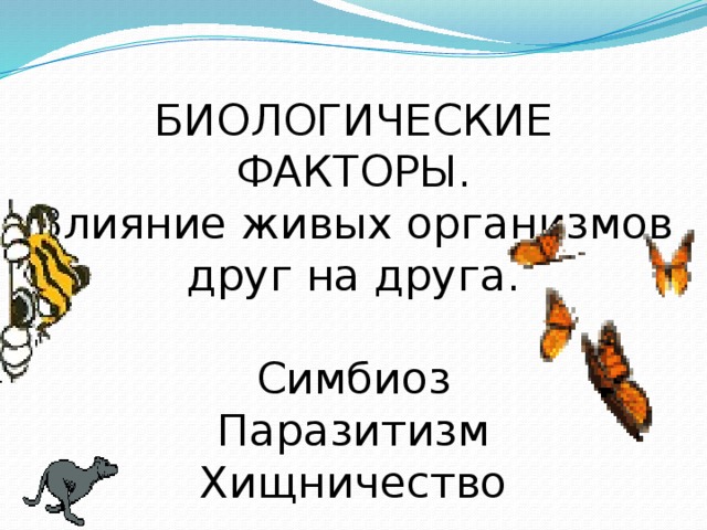 Биотические факторы симбиоз примеры. Симбиоз хищничество паразитизм. Биологические факторы симбиоз. Влияние организмов друг на друга. Симбиоз цепочка.
