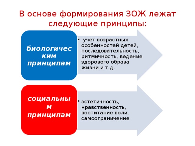 В основе формирования ЗОЖ лежат следующие принципы:  учет возрастных особенностей детей, последовательность, ритмичность, ведение здорового образа жизни и т.д.   учет возрастных особенностей детей, последовательность, ритмичность, ведение здорового образа жизни и т.д.  биологическим принципам социальным принципам эстетичность, нравственность, воспитание воли, самоограничение эстетичность, нравственность, воспитание воли, самоограничение 