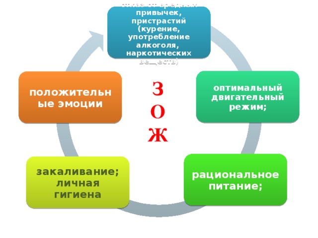 отказ от вредных привычек, пристрастий (курение, употребление алкоголя,  наркотических веществ ) оптимальный двигательный режим; положительные эмоции З О Ж рациональное питание; закаливание; личная гигиена 