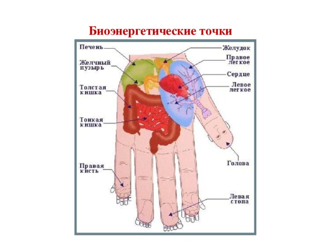 Биоэнергетические точки 