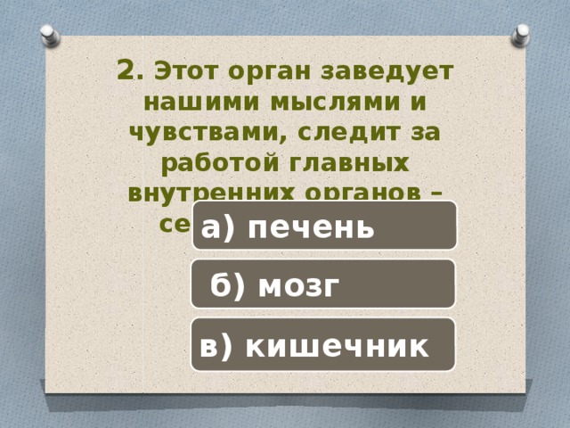 2 . Этот орган заведует нашими мыслями и чувствами, следит за работой главных внутренних органов – сердца и лёгких. а) печень  б) мозг в) кишечник 