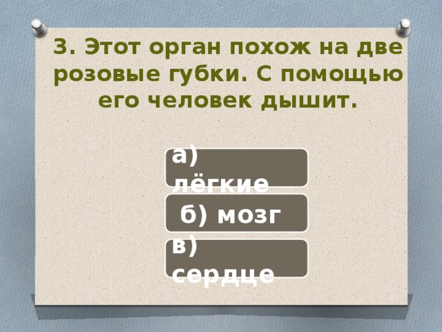 3. Этот орган похож на две розовые губки. С помощью его человек дышит. а) лёгкие  б) мозг в) сердце 