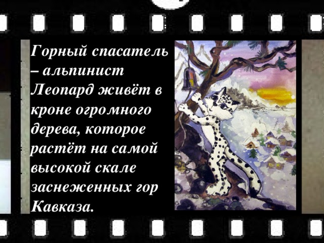 Горный спасатель – альпинист Леопард живёт в кроне огромного дерева, которое растёт на самой высокой скале заснеженных гор Кавказа. 
