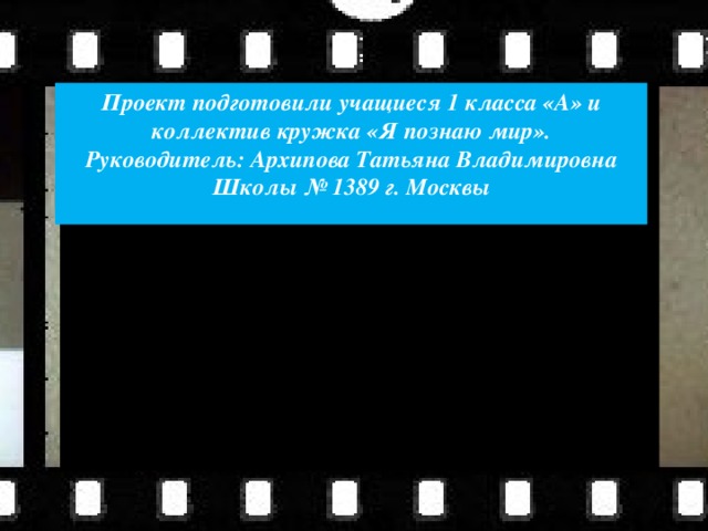 Проект подготовили учащиеся 1 класса «А» и коллектив кружка «Я познаю мир». Руководитель: Архипова Татьяна Владимировна Школы № 1389 г. Москвы  