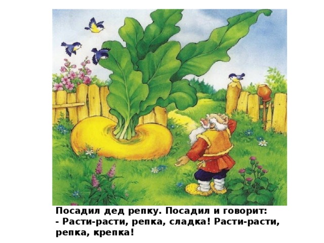 Посадил дед репку. Посадил и говорит: - Расти-расти, репка, сладка! Расти-расти, репка, крепка! 