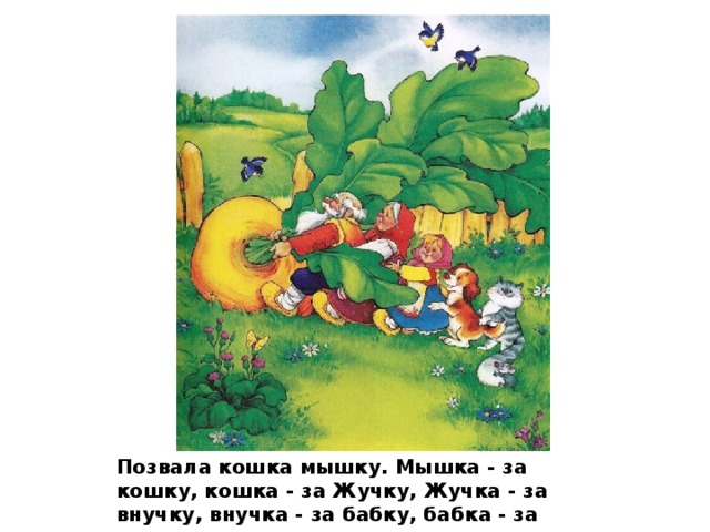 Позвала кошка мышку. Мышка - за кошку, кошка - за Жучку, Жучка - за внучку, внучка - за бабку, бабка - за дедку, дедка - за репку. 