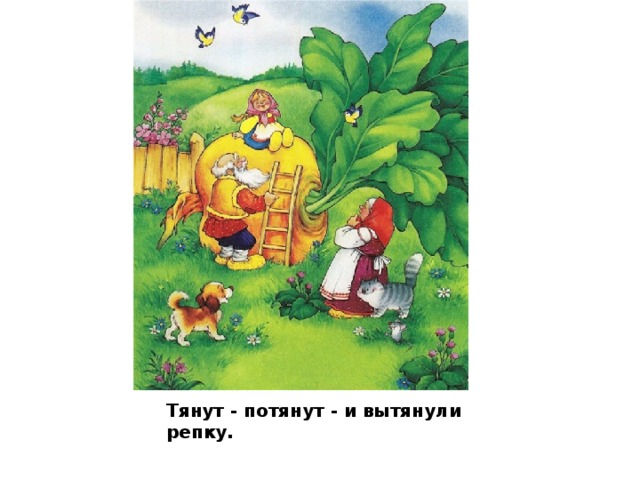 Тянут - потянут - и вытянули репку.