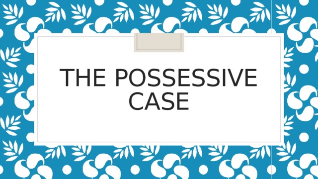 The Possessive case 