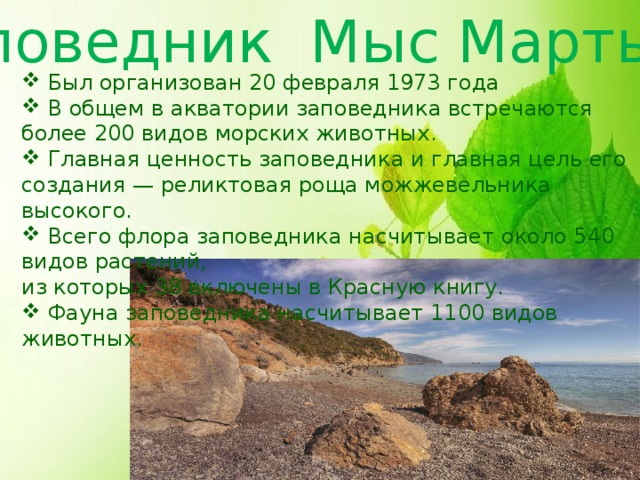 Презентация мыс мартьян