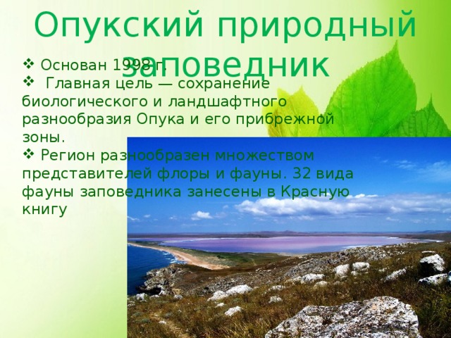 Казантипский заповедник презентация