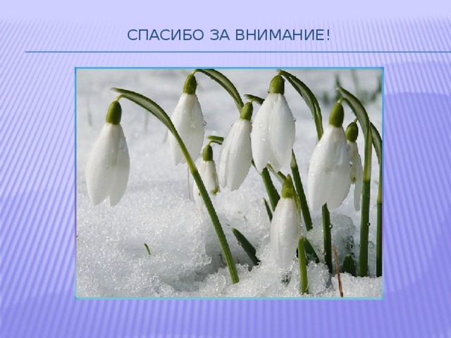 Спасибо за внимание!   