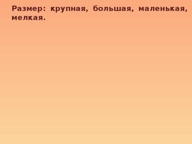 Размер: крупная, большая, маленькая, мелкая. 
