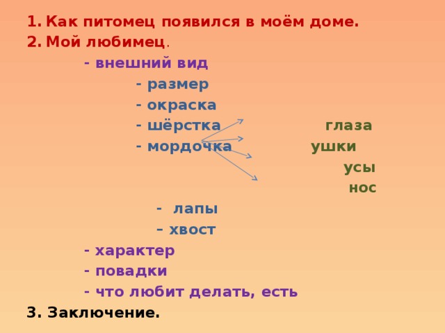 Как питомец появился в моём доме. Мой любимец .  - внешний вид  - размер  - окраска  - шёрстка глаза  - мордочка ушки   усы   нос  - лапы – хвост  - характер  - повадки  - что любит делать, есть 3. Заключение. 