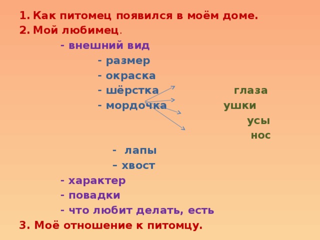 Как питомец появился в моём доме. Мой любимец .  - внешний вид  - размер  - окраска  - шёрстка глаза  - мордочка ушки   усы   нос  - лапы – хвост  - характер  - повадки  - что любит делать, есть 3. Моё отношение к питомцу. 