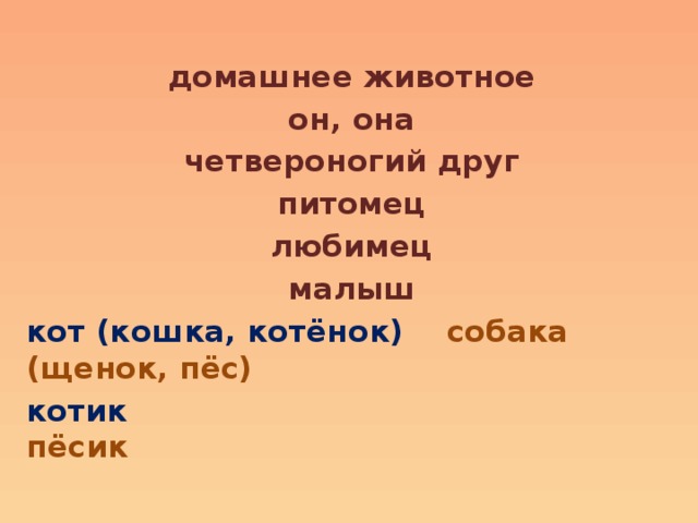 домашнее животное он, она четвероногий друг питомец любимец малыш кот (кошка, котёнок) собака (щенок, пёс) котик  пёсик  