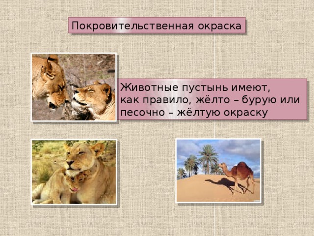 Покровительственная окраска Животные пустынь имеют, как правило, жёлто – бурую или песочно – жёлтую окраску 