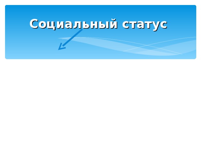 Социальный статус 