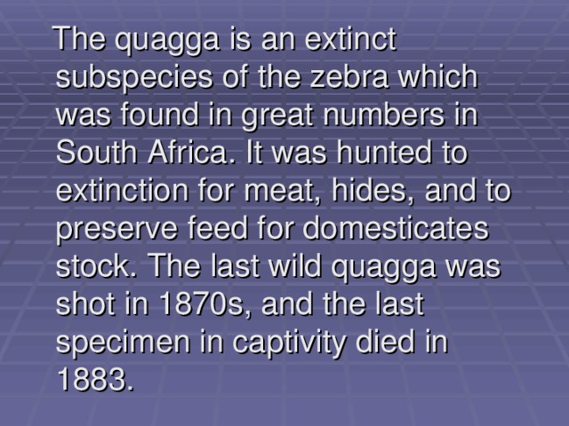  The quagga is an extinct subspecies of the zebra which was found in great numbers in South Africa. It was hunted to extinction for meat, hides, and to preserve feed for domesticates stock. The last wild quagga was shot in 1870s, and the last specimen in captivity died in 1883. 