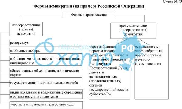 Виды демократии схема