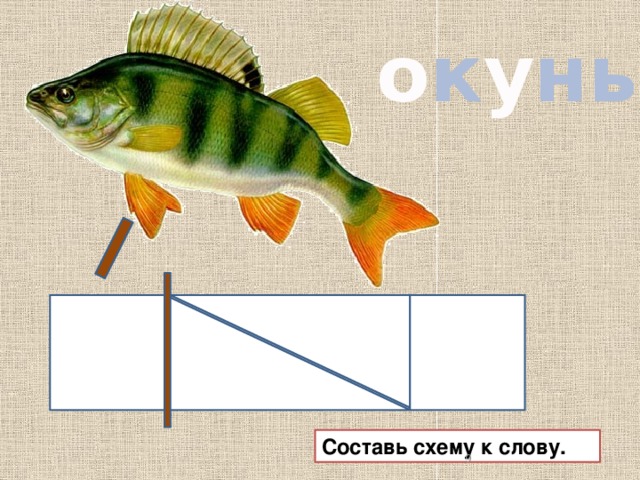 Слова окунь можно переносить. Окунь звуковая схема. Окунь схема 1 класс. Схема слова окунь. Схема слова.