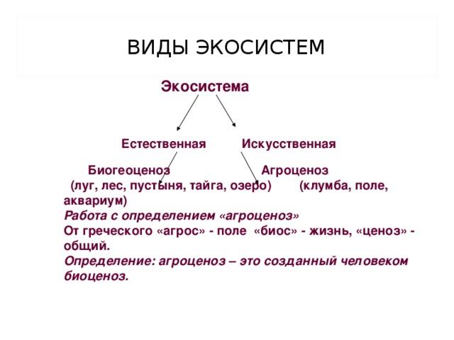 Синквейн биогеоценоз схема