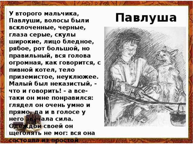 Впечатление автора