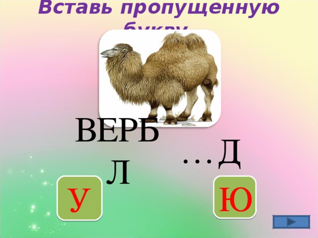 Вставь пропущенную букву   … Д ВЕРБЛ У Ю