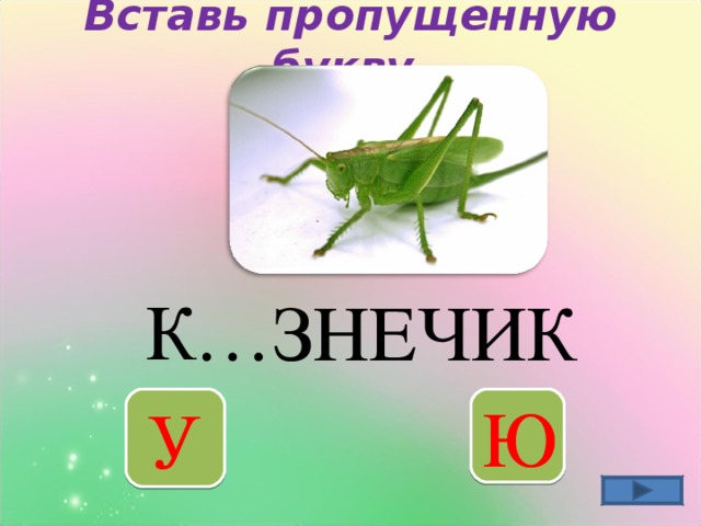 Вставь пропущенную букву   … ЗНЕЧИК К У Ю