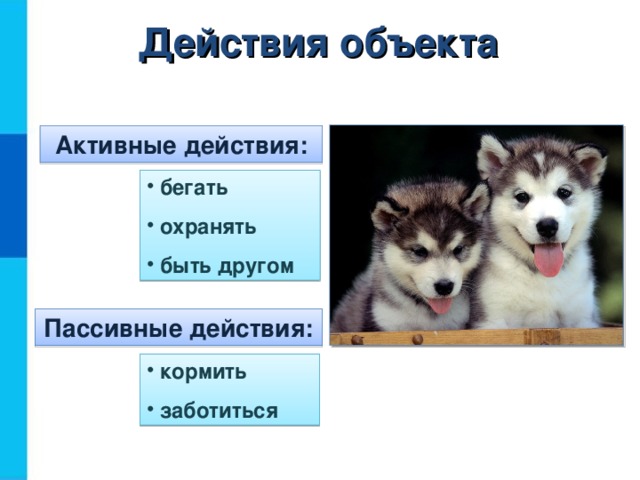 Действия объекта Активные действия:  бегать  охранять  быть другом Пассивные действия:  кормить  заботиться  