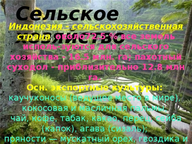 Сельское хозяйство Индонезия - сельскохозяйственная страна ; около72.5 % все земель исполь-зуются для сельского хозяйства - 16.5 млн. га; пахотный суходол - приблизительно 12.8 млн га.  Осн. экспортные культуры: каучуконосы (ведущее место в мире), кокосовая и масличная пальмы, чай, кофе, табак, какао, перец, сейба (капок), агава (сизаль); пряности — мускатный орех, гвоздика и др.; кора хинного дерева  