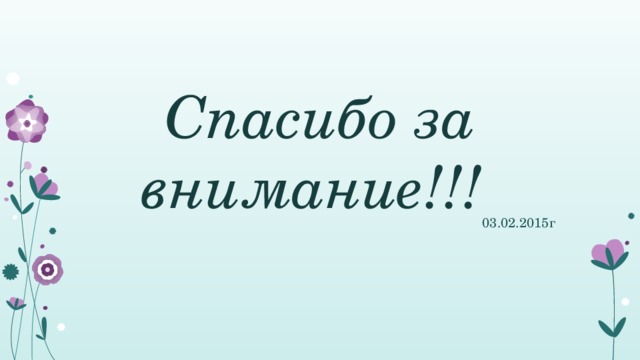 Спасибо за внимание!!! 03.02.2015г 