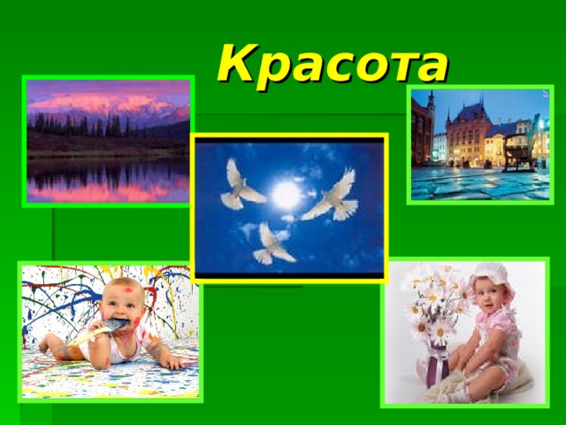  Красота 