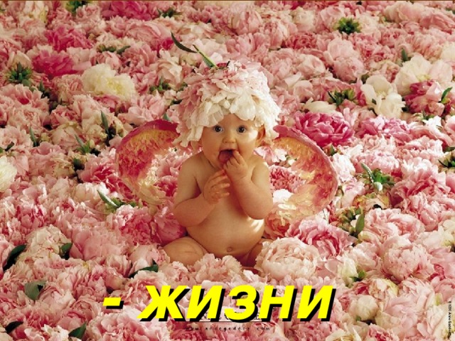     - жизни 