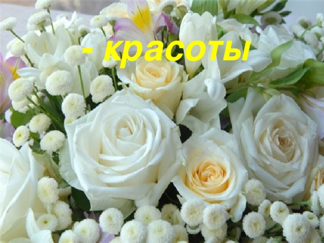 - красоты 