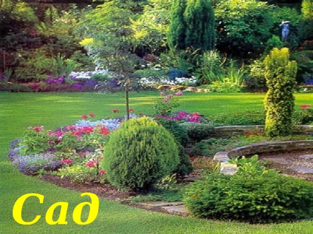 Сад 