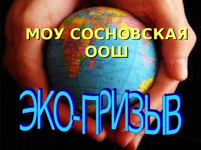 МОУ СОСНОВСКАЯ ООШ 