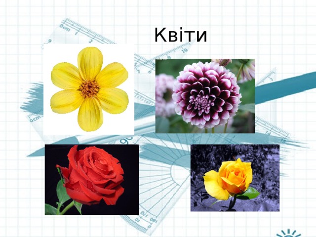 Квіти 