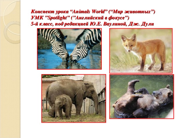 Конспект урока “ Animals World ” (“Мир животных”)  УМК 