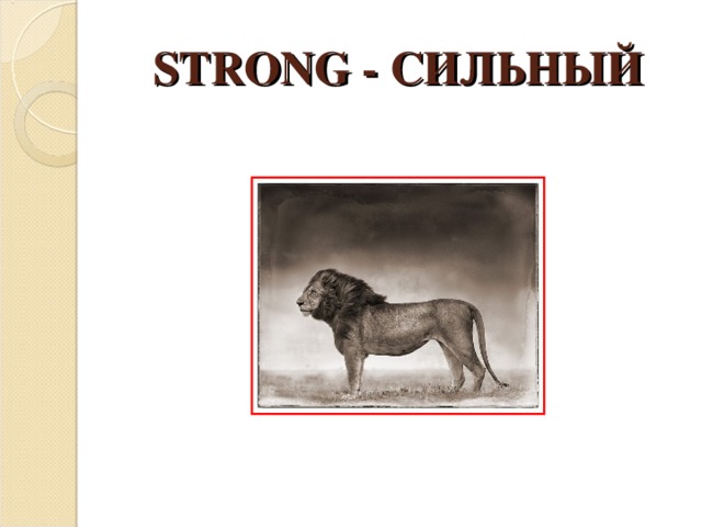 STRONG - СИЛЬНЫЙ 