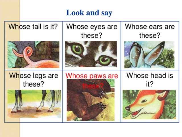  Look and say  Whose tail is it? Whose eyes are these? Whose legs are these? Whose ears are these? Whose head is it? Whose paws are  these? 