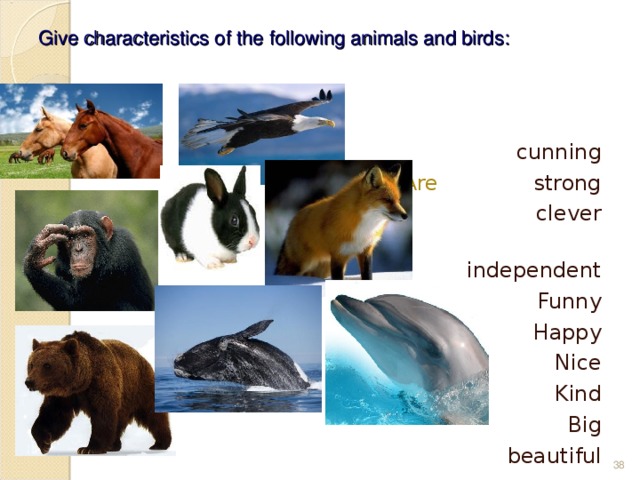 Give characteristics of the following animals and birds:     cunning Are strong Is clever  independent Funny Happy Nice Kind Big beautiful  