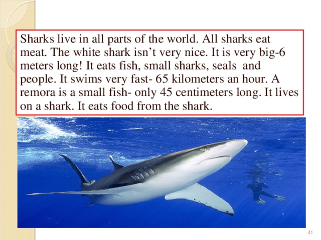   Sharks   Sharks live in all parts of the world. All sharks eat meat. The white shark isn’t very nice. It is very big-6 meters long! It eats fish, small sharks, seals and people. It swims very fast- 65 kilometers an hour. A remora is a small fish- only 45 centimeters long. It lives on a shark. It eats food from the shark .  