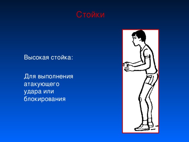 Стойки Высокая стойка: Для выполнения атакующего удара или блокирования 