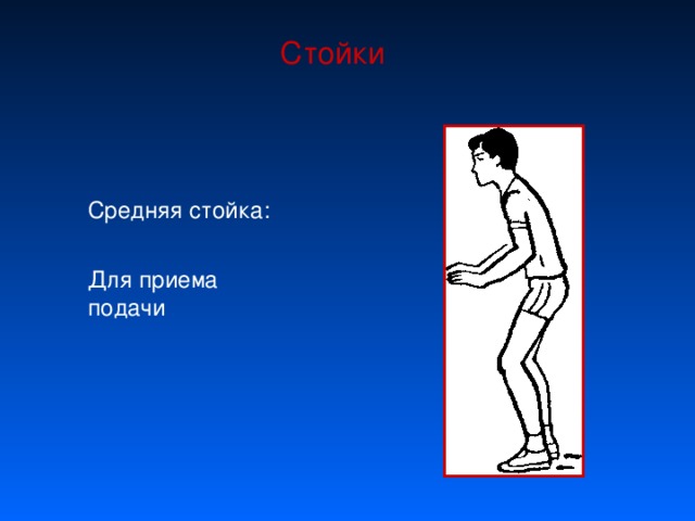 Стойки Средняя стойка: Для приема подачи 